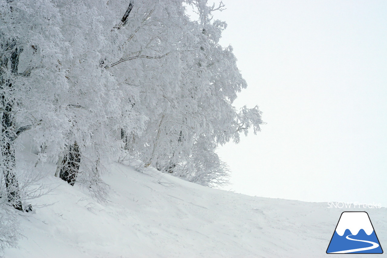 Freeride Kiroro Juniors 1* 2019 - ジュニアライダーたちが大人顔負けの滑りを披露!!